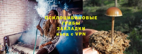тгк Богородск