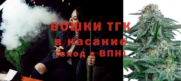 тгк Богородск